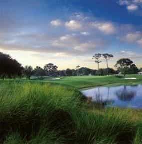 Belleview Biltmore Resort, Golf Club and Spa