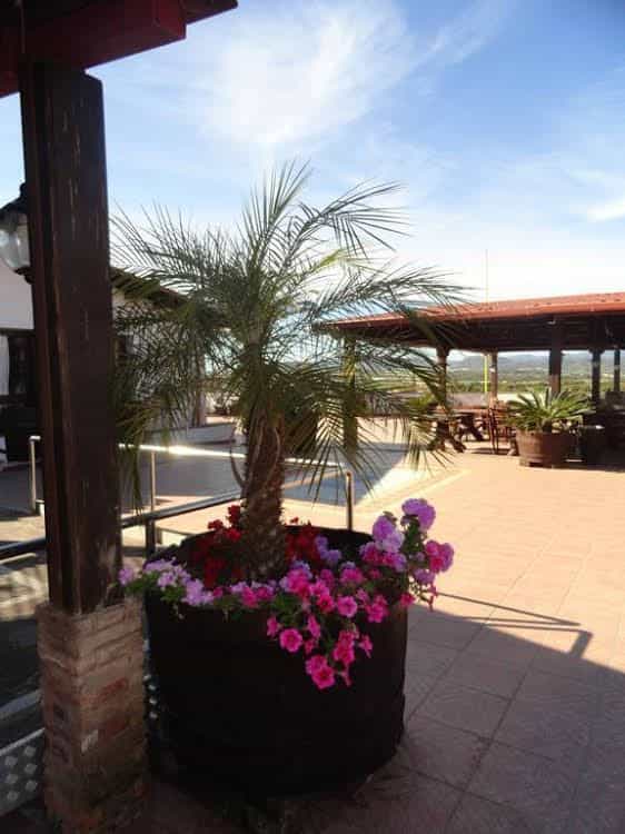 Tanit Hotel Villaggio Ristorante