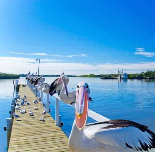 Moby Dick Waterfront Motel