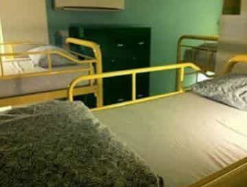 Beary Nice! by a beary good hostel