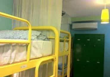 Beary Nice! by a beary good hostel
