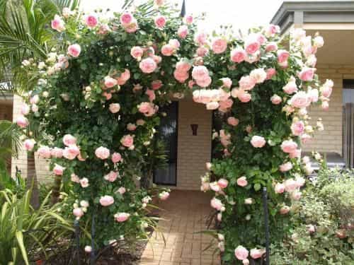 Baudins of Busselton B&B