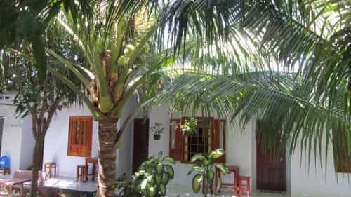 Duc Thao Guest House Duc Thao Guest House