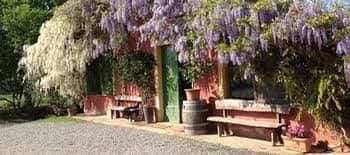 Agriturismo Cascina degli Ulivi