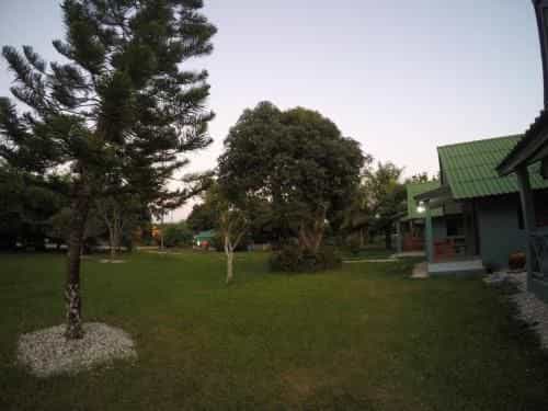 Navy Garden
