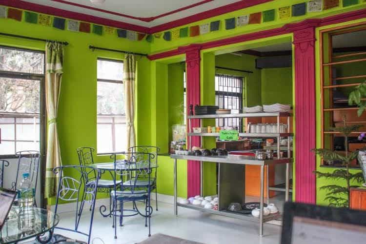 The Sparkling Turtle Backpackers Hostel