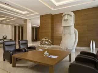 Anemon Afyon