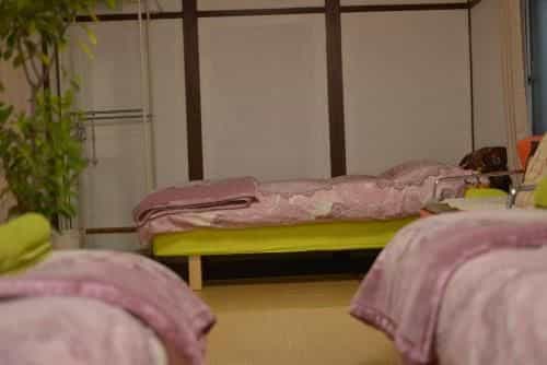 Guest House Neko Neko Guest House Neko Neko