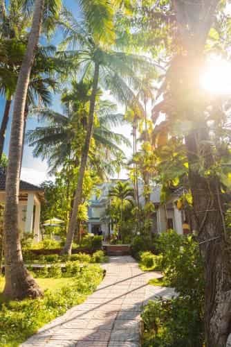 Nhat Lan Resort Nhat Lan Resort