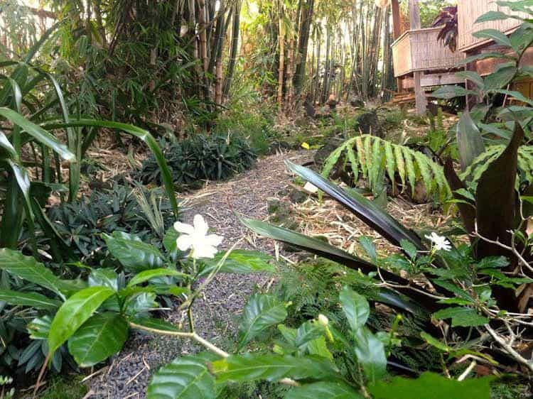 Hilo Bay Hale Bed and Breakfast