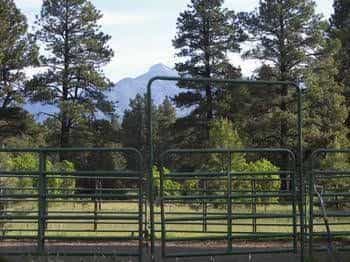 Elktrace Bed and Breakfast