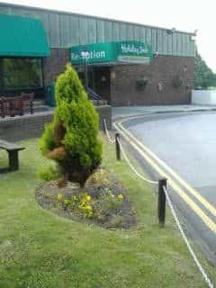 โม๊กซี่ บริสตอล