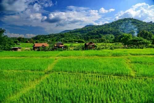 Youdin Kindee Farmstay
