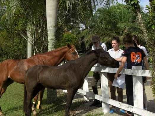 Riders Lodge Kulai