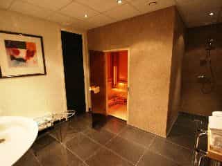 Sandton Hotel Pillows