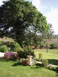 MONKS BARN FARM MONKS BARN FARM