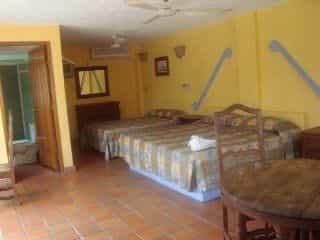 Casa Shaguiba