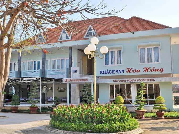 Hoa Hong Hoa Hong