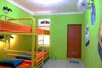 Bunk Bed and Breakfast Bunk Bed and Breakfast