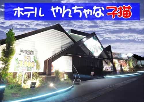 Hotel Yancha na Koneko (Adult Only)