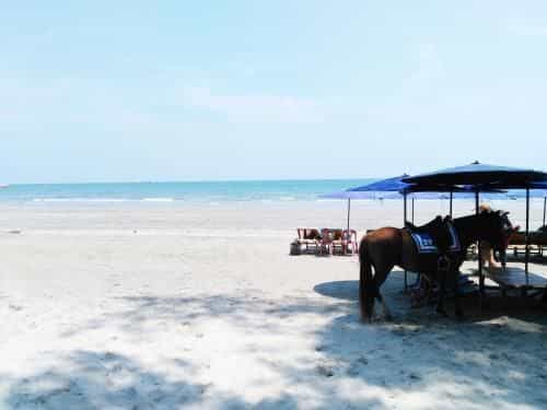 Autumn Hua Hin - The Sunset Room