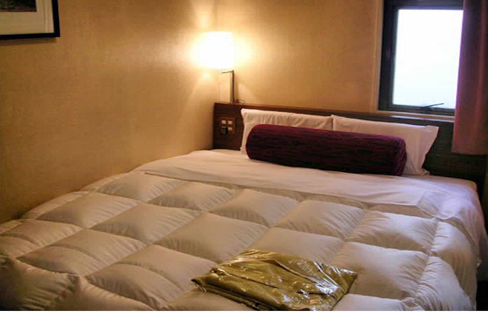Hotel Plaza Komagome