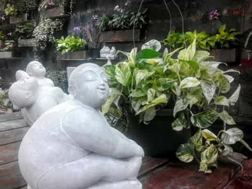 โรงแรมทินส์ ออฟ บลู โรงแรมทินส์ ออฟ บลู