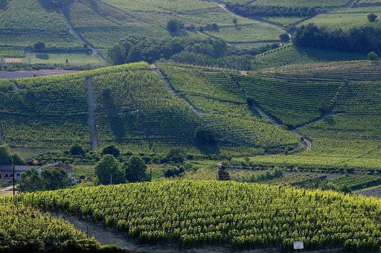 Best Western Langhe Cherasco