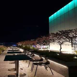 Golden Tulip M
