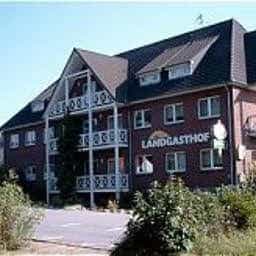 Podewall Wald