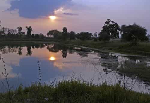 EiDI Homestay EiDI Homestay