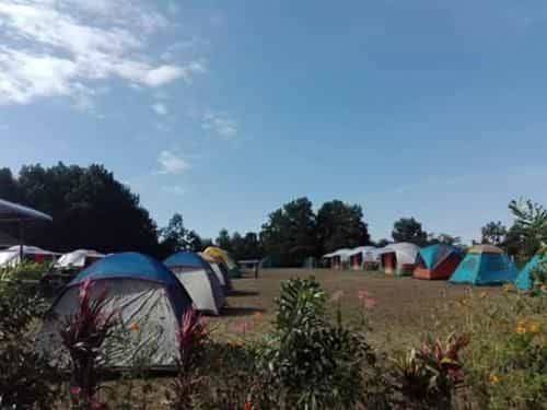 Friend Camp