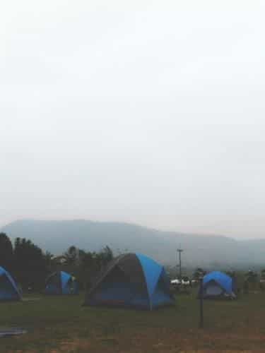 Friend Camp