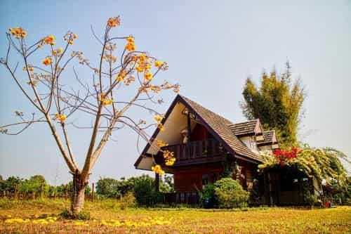 Cozycomo Chiang Dao