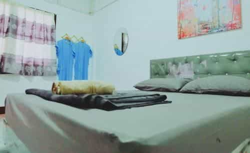 A Nis House