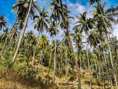 Khanom Sea Breeze apartment Khanom Sea Breeze apartment
