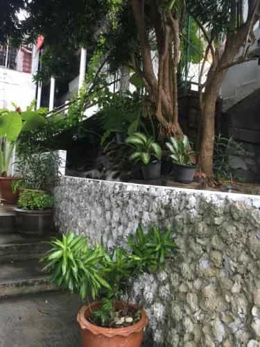 Sunset Garden With 2 Rooms