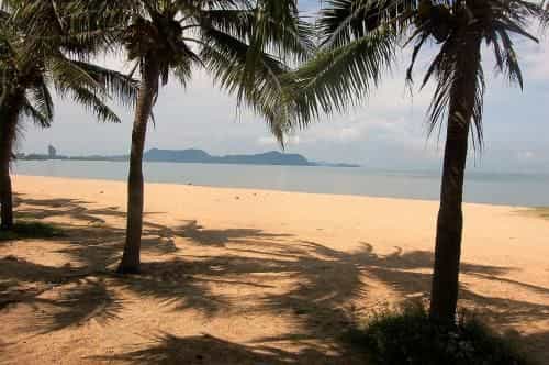 ราฟิกิ ราฟิกิ