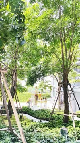 Brand new condo 1 BR at Sukhumvit 105 Rd.