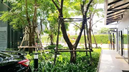Brand new condo 1 BR at Sukhumvit 105 Rd.