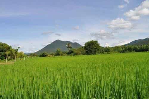 สวนพงษ์-ทิพย์ลานกางเต็นท์ สวนพงษ์-ทิพย์ลานกางเต็นท์