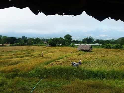 Thai-Zen Farmstay Thai-Zen Farmstay