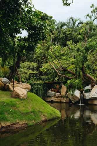 Pagoda Hill Cafe and Resort