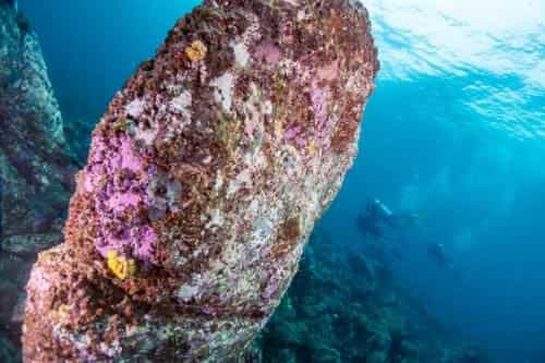 Forra Dive Resort Sunrise Forra Dive Resort Sunrise