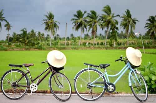 Sub Nai Din Coconut Farmstay