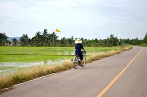 Sub Nai Din Coconut Farmstay