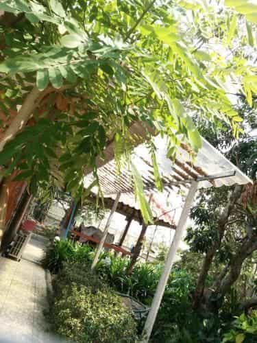 ต้งโฮมหละปูน ณ ตูบคำ ต้งโฮมหละปูน ณ ตูบคำ