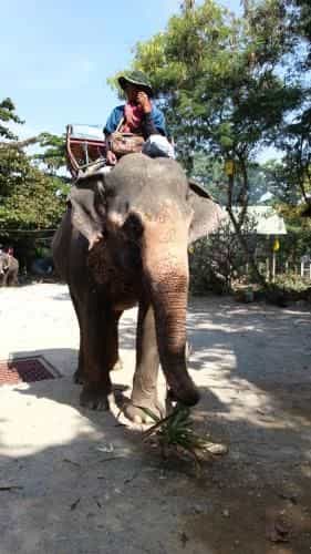 BTC Hua Hin Home