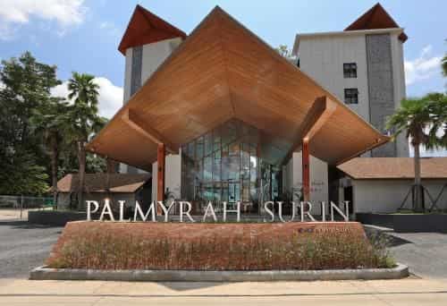 The Palmyrah Surin by Holy Cow B409