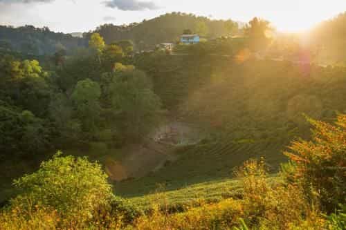 เลาลีฮิลล์รีสอร์ท Laulee hill resort